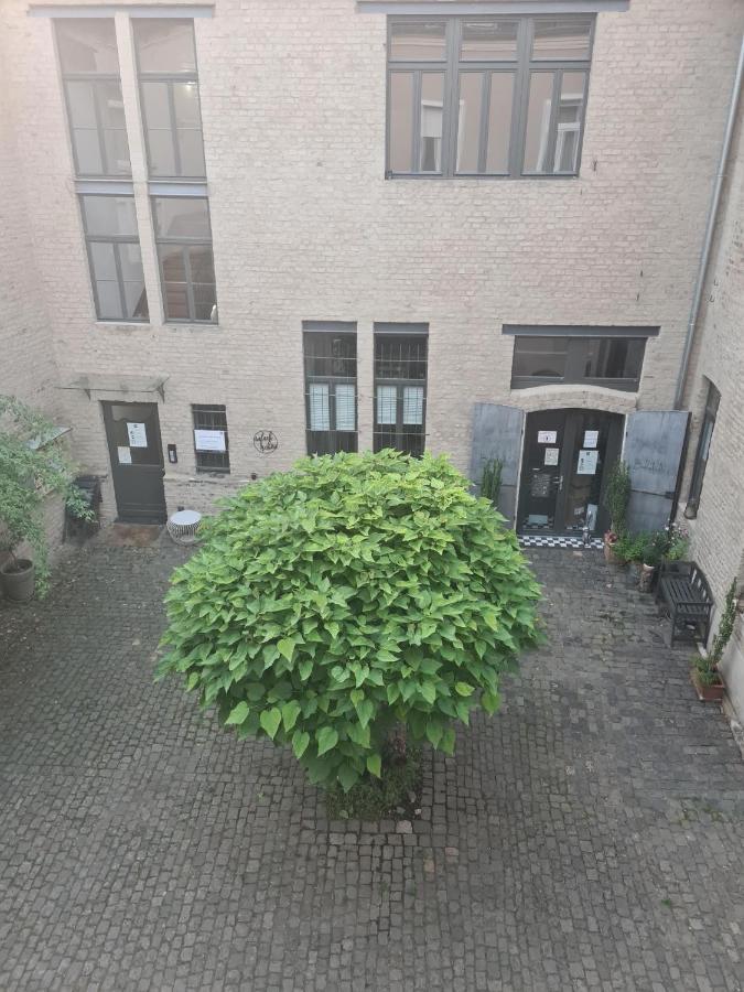 Loftapartment im historischen Fabrikambiente Geisenheim Exterior foto